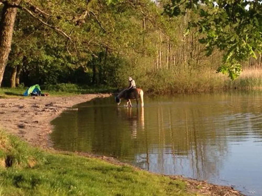 Campingfreunde Gorinsee