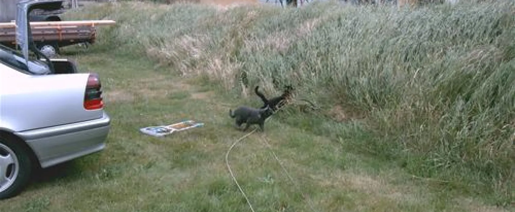 Stenbjerg Campingplads