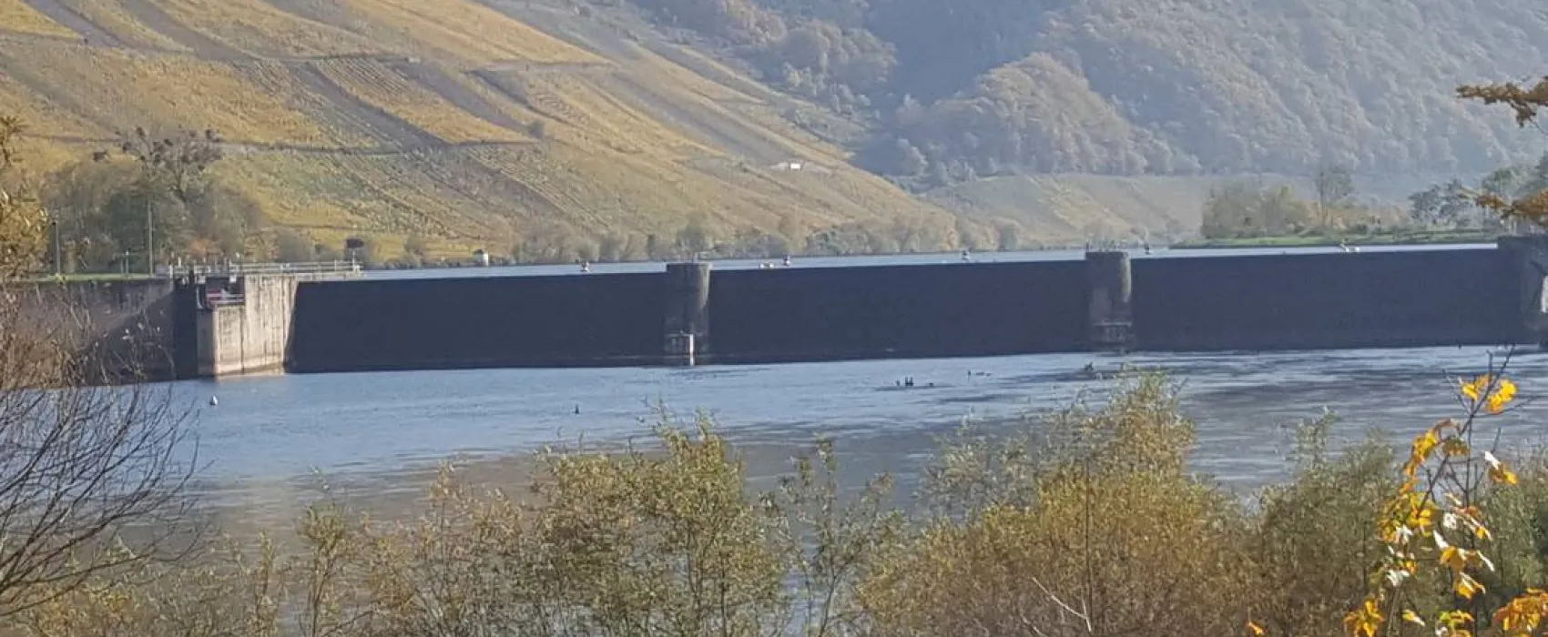 Moselcamping Pölich