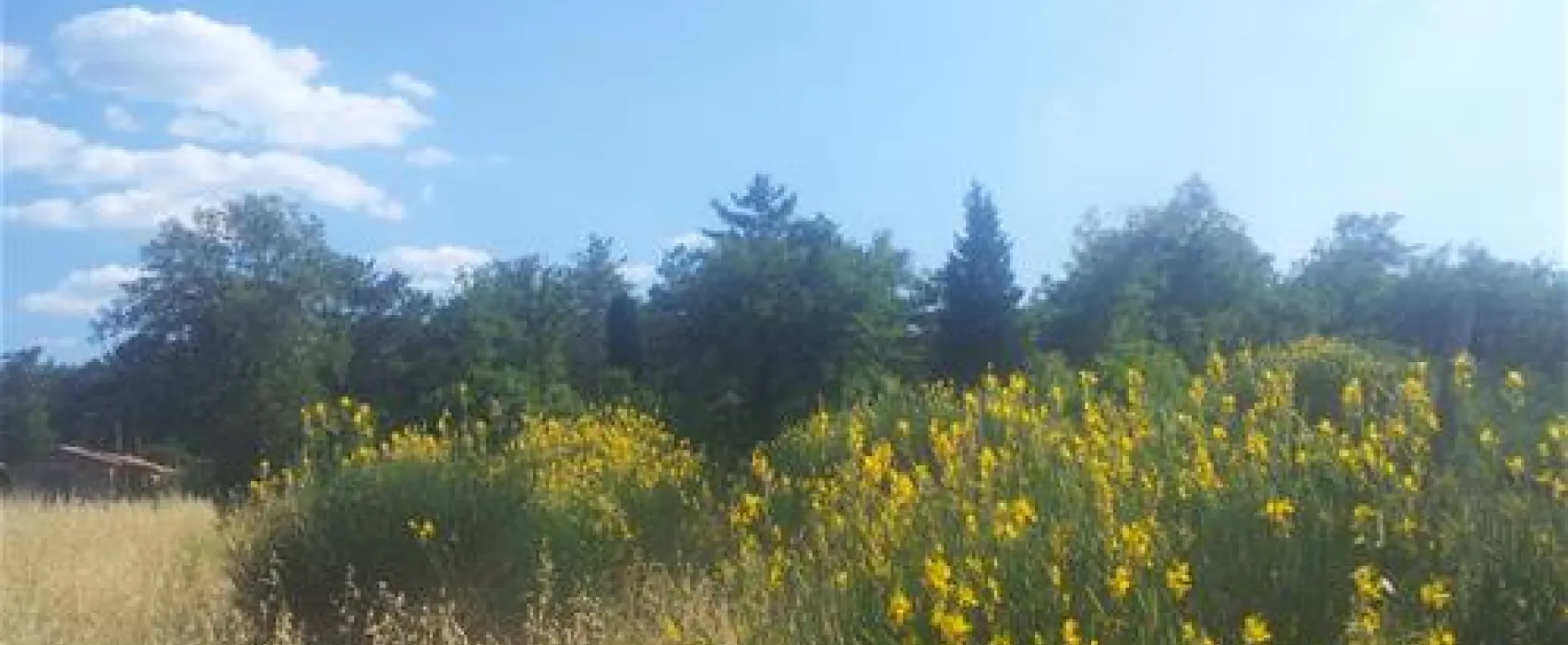 Agricampeggio Madonna di Pogi