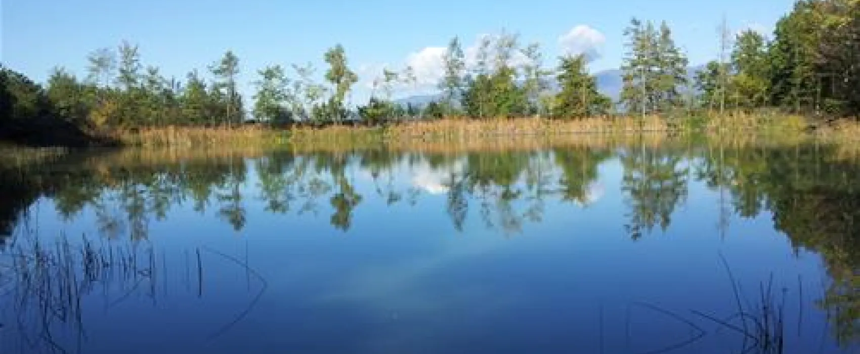 Agricampeggio Madonna di Pogi