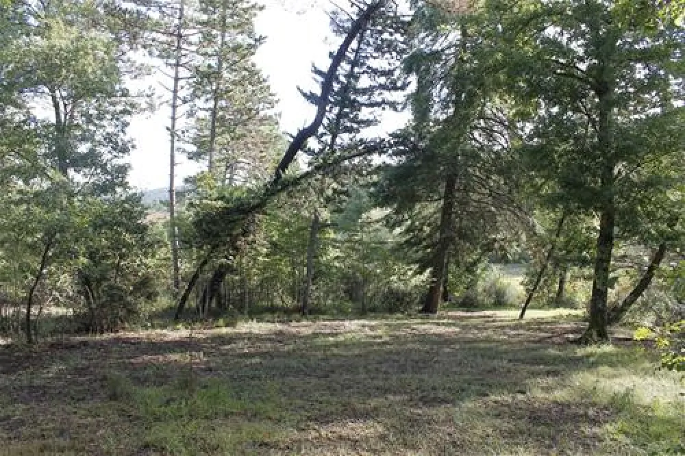 Agricampeggio Madonna di Pogi