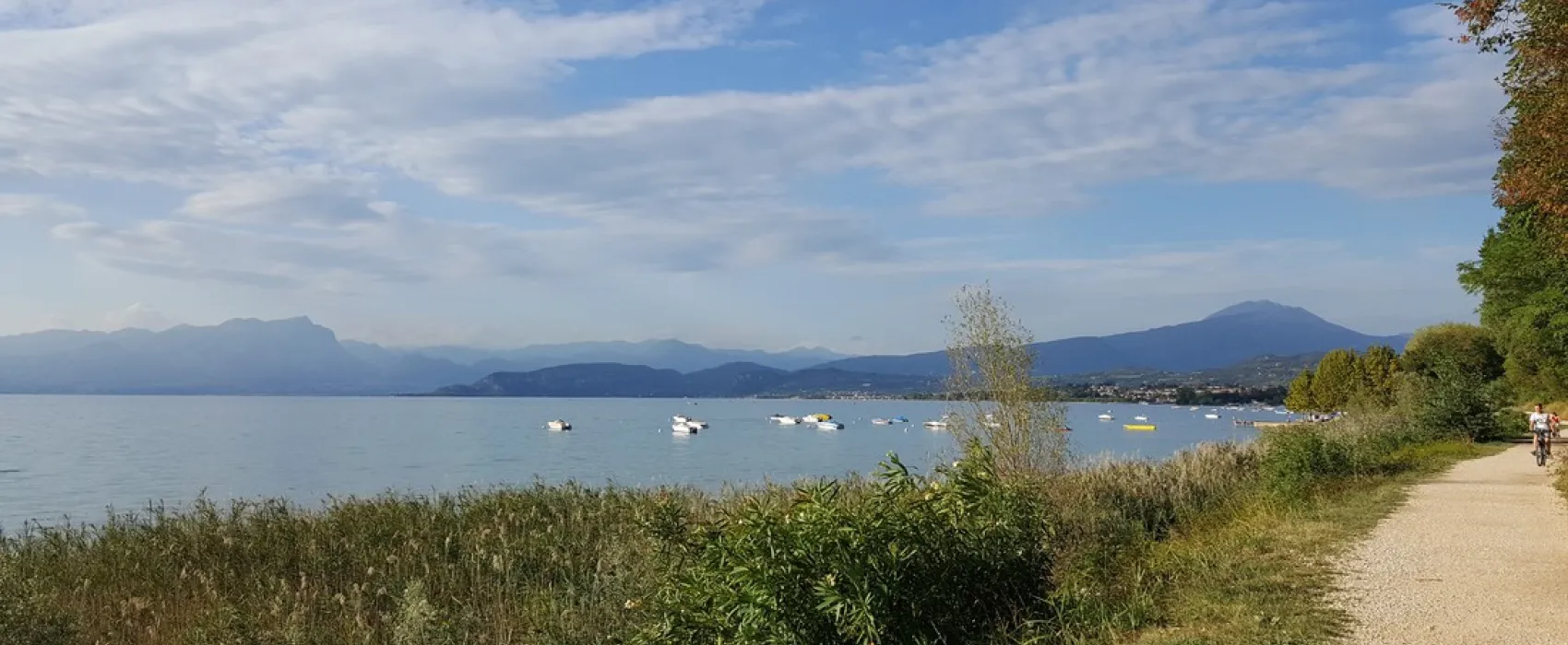 Campeggio Park Delle Rose