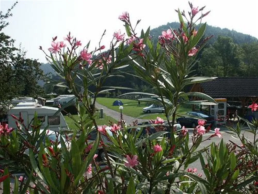 Paradise-Garden Camping