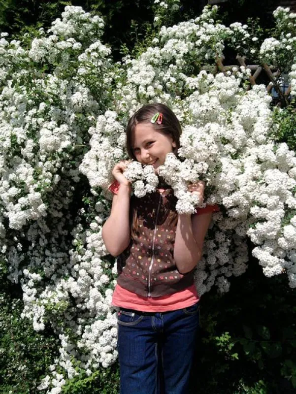 Paradise-Garden Camping