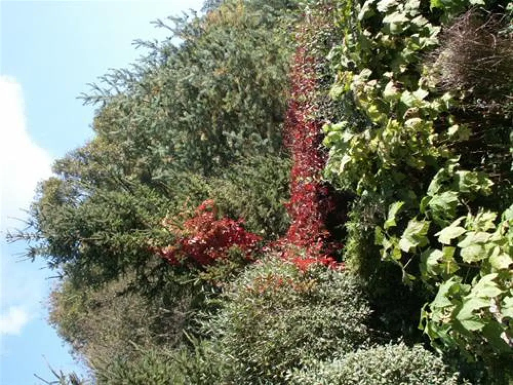 Paradise-Garden Camping