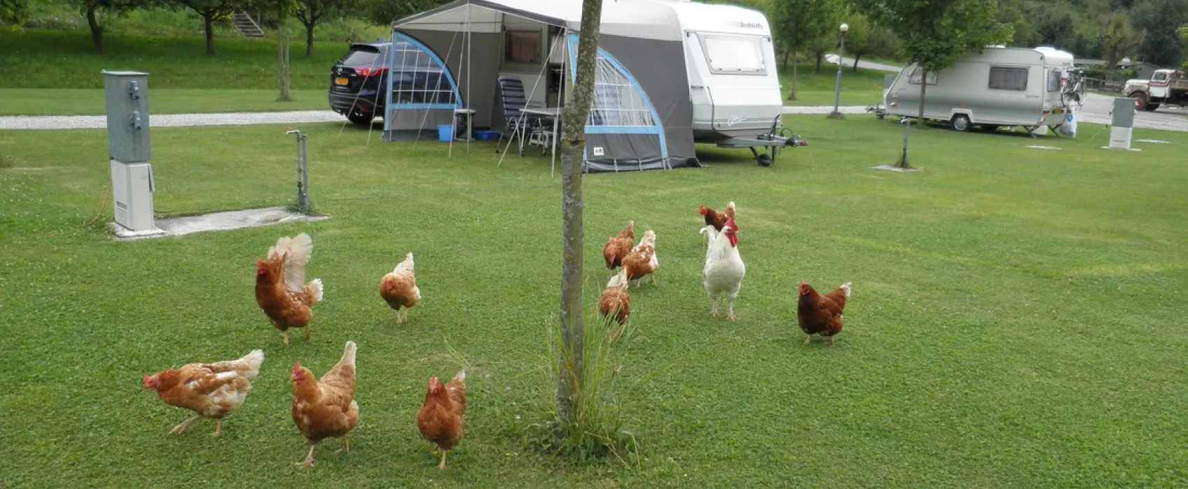 Paradise-Garden Camping