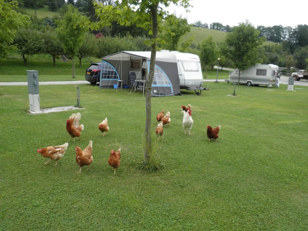 Paradise-Garden Camping