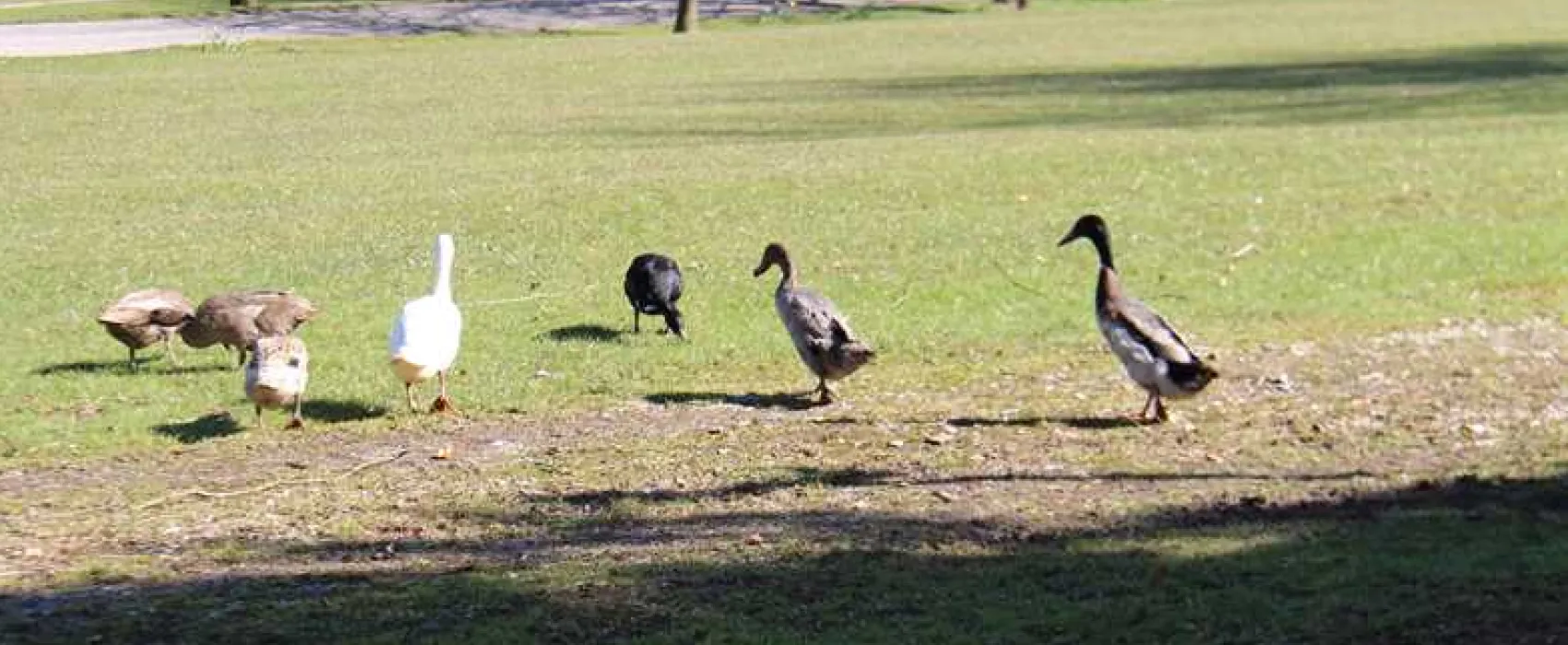 Newhaven Holiday Park