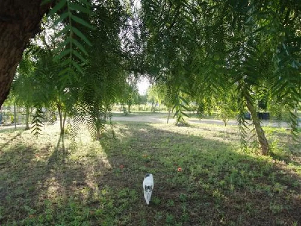 Camping Lilybeo Village