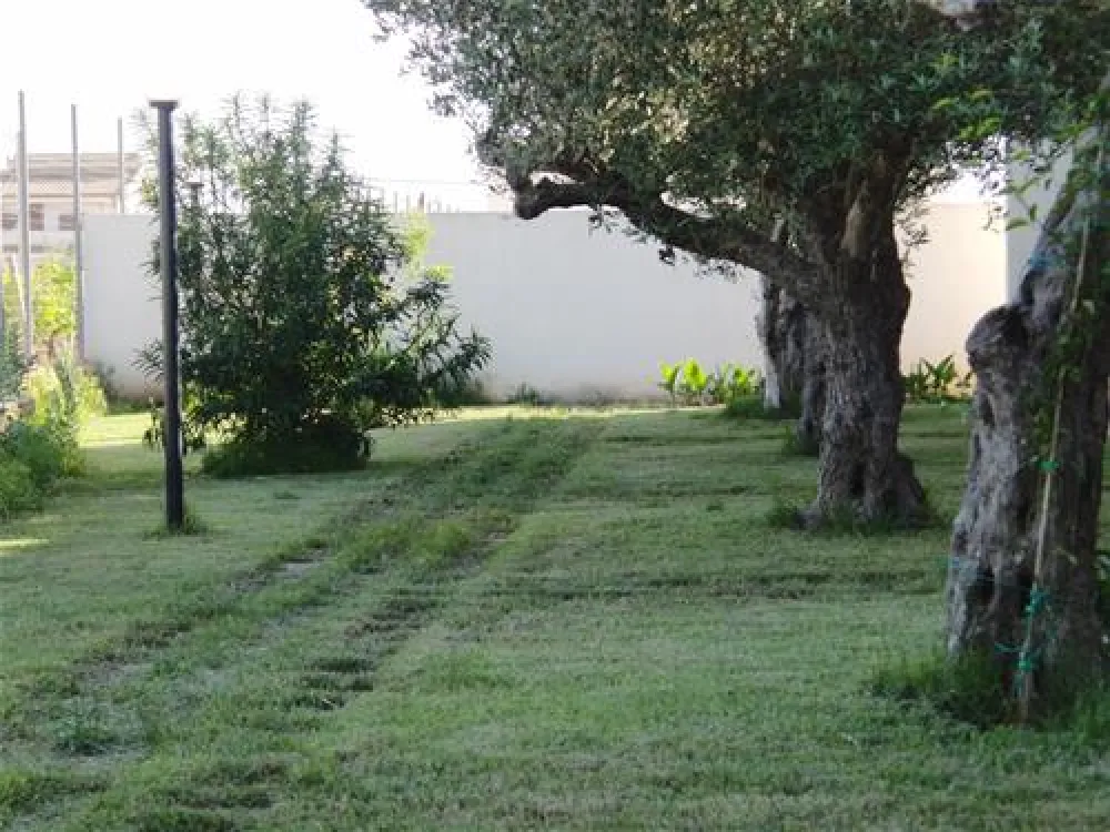 Camping Lilybeo Village