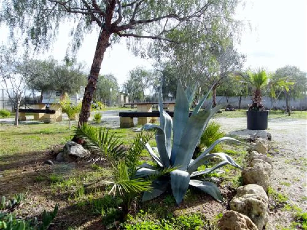 Camping Lilybeo Village