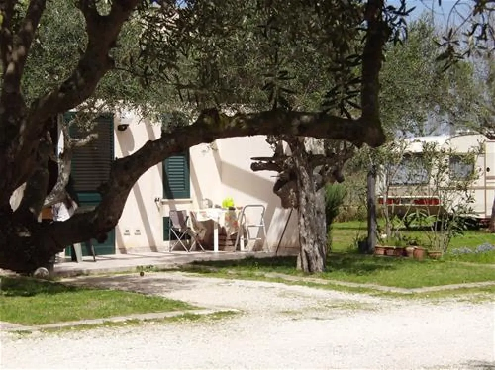 Camping Lilybeo Village