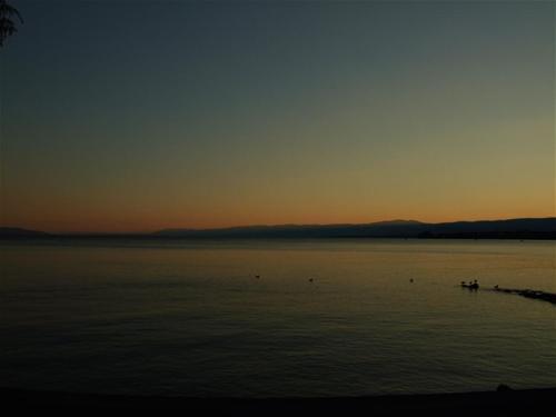 schlafsack jollein Jollein Musselin Baby Schlafsack Olive Green main image 1