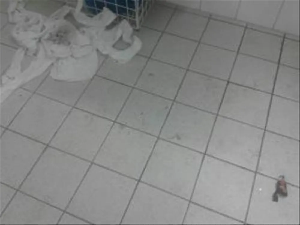 Campingpark Am Gederner See