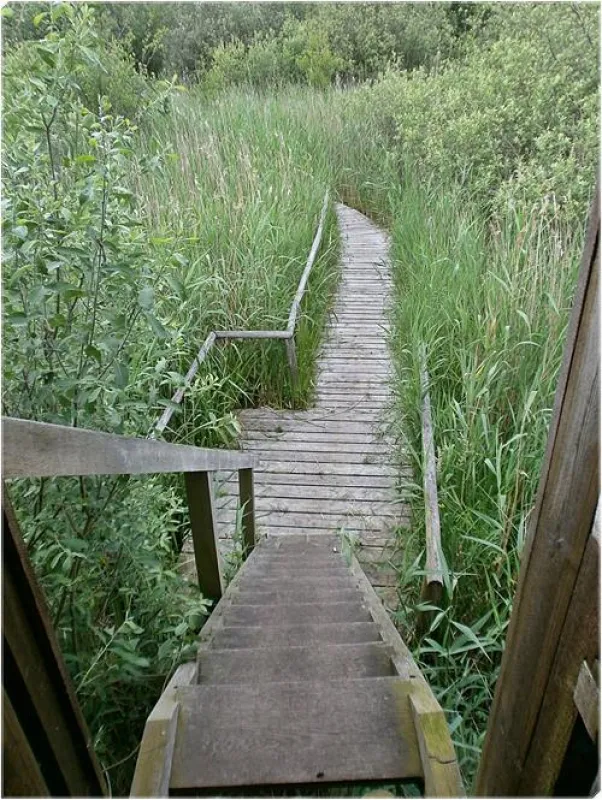 CampingPlatz Ecktannen