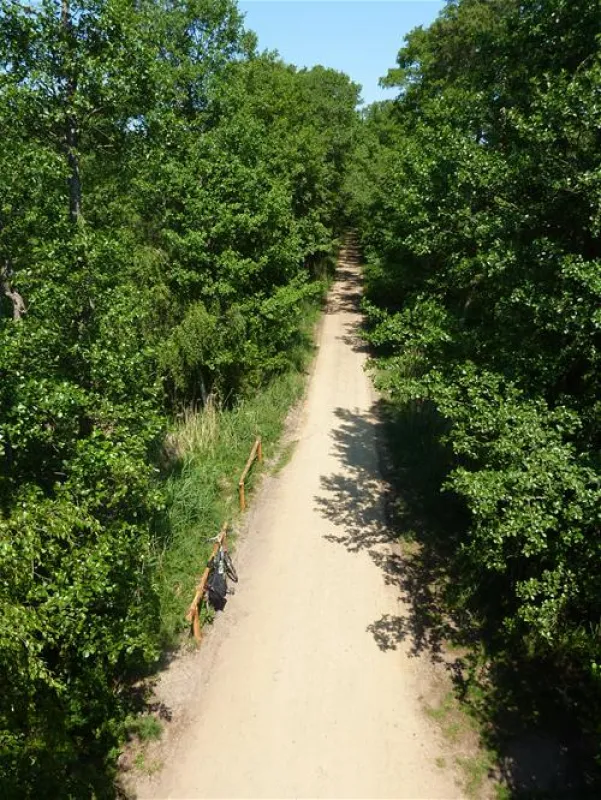 CampingPlatz Ecktannen