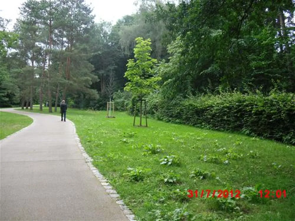 CampingPlatz Ecktannen