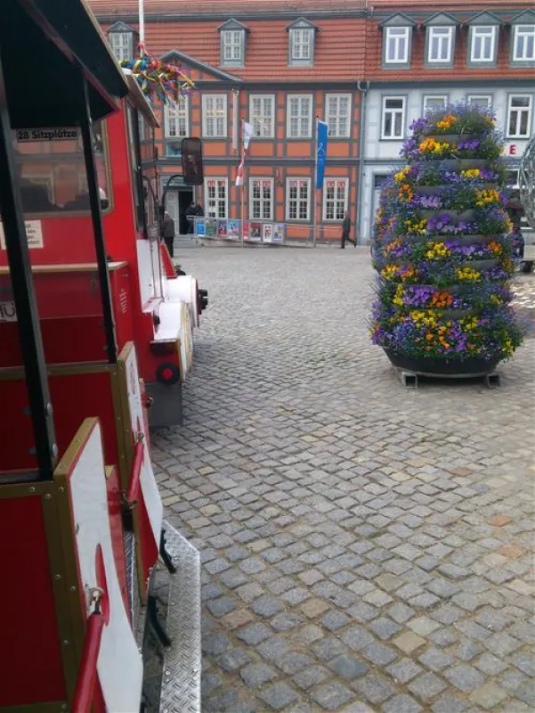 CampingPlatz Ecktannen