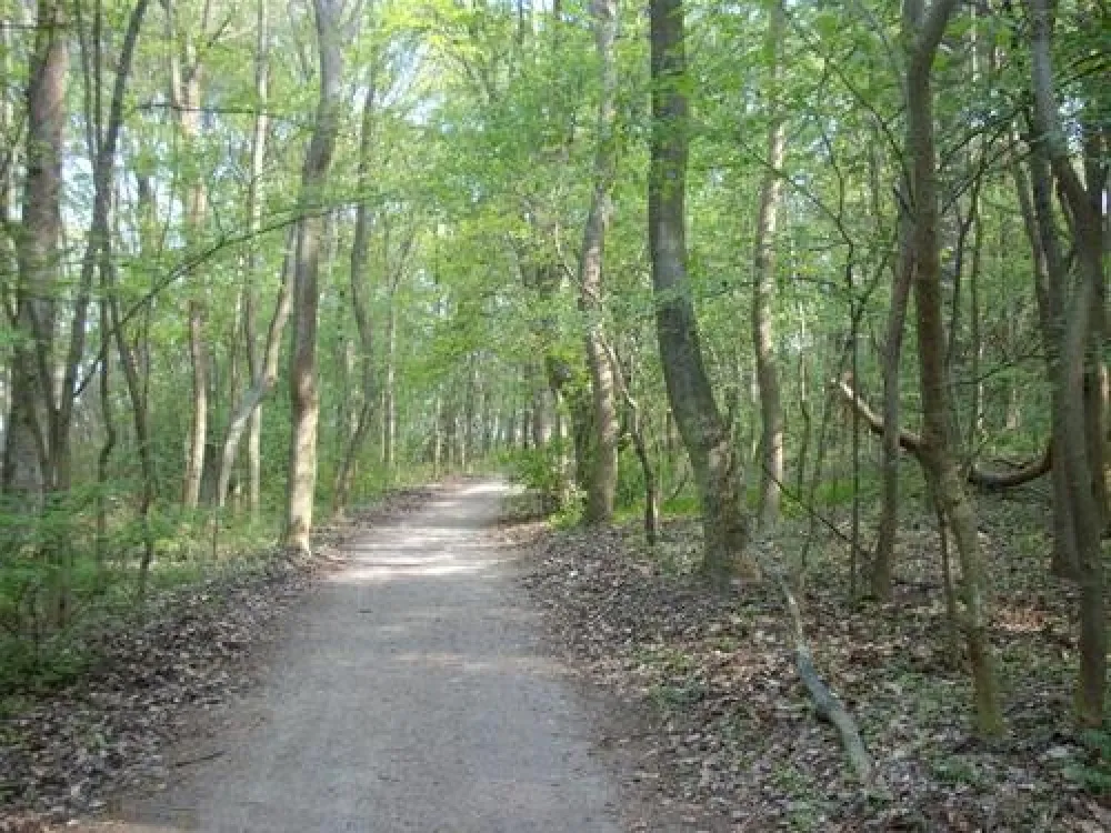 CampingPlatz Ecktannen