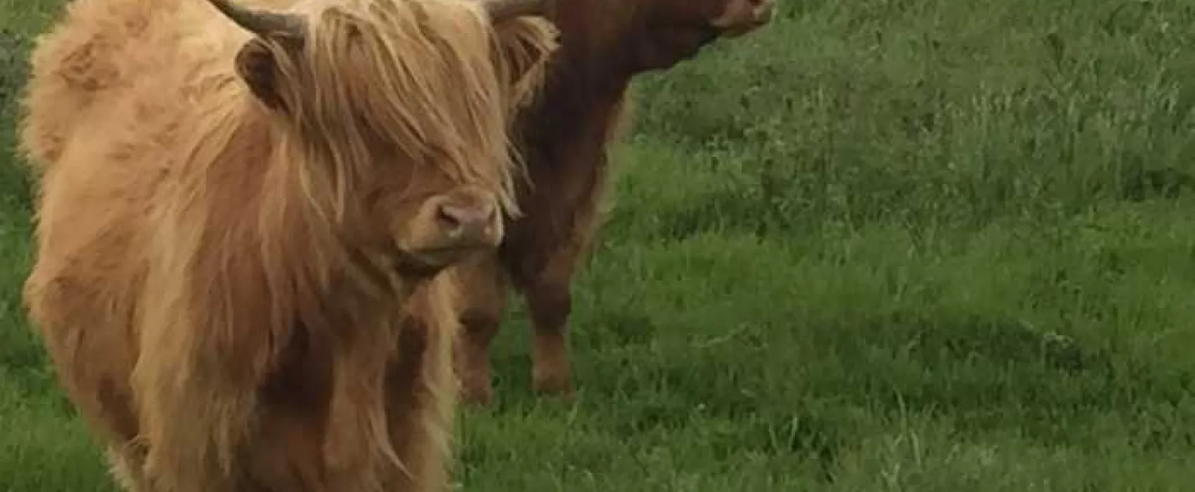 Nairn Camping and Caravanning Club Site