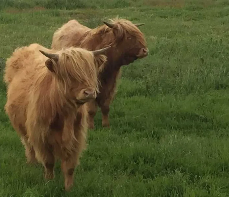 Nairn Camping and Caravanning Club Site