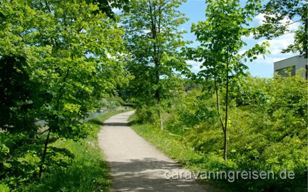 Husodde Strand Camping