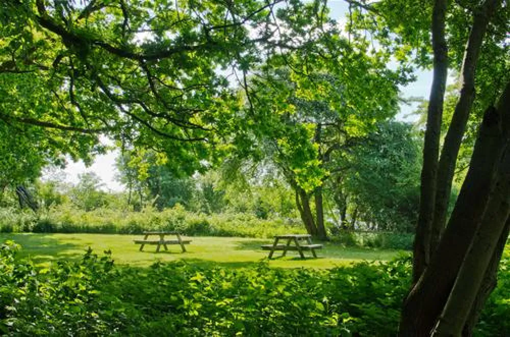 Husodde Strand Camping