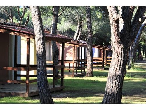 Camping Le Belle-vue photo 4