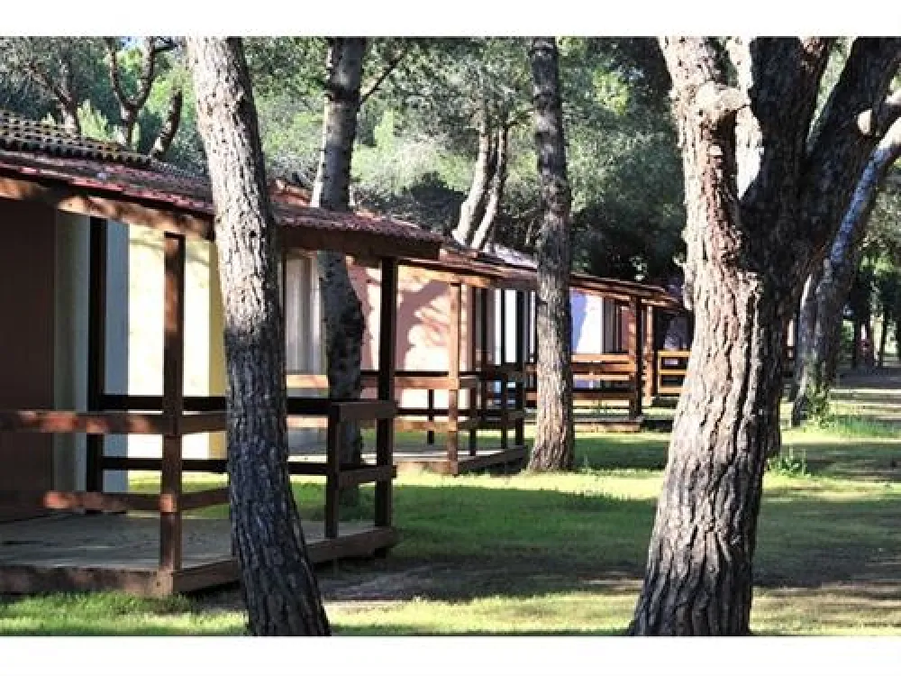 Camping Le Belle-vue  