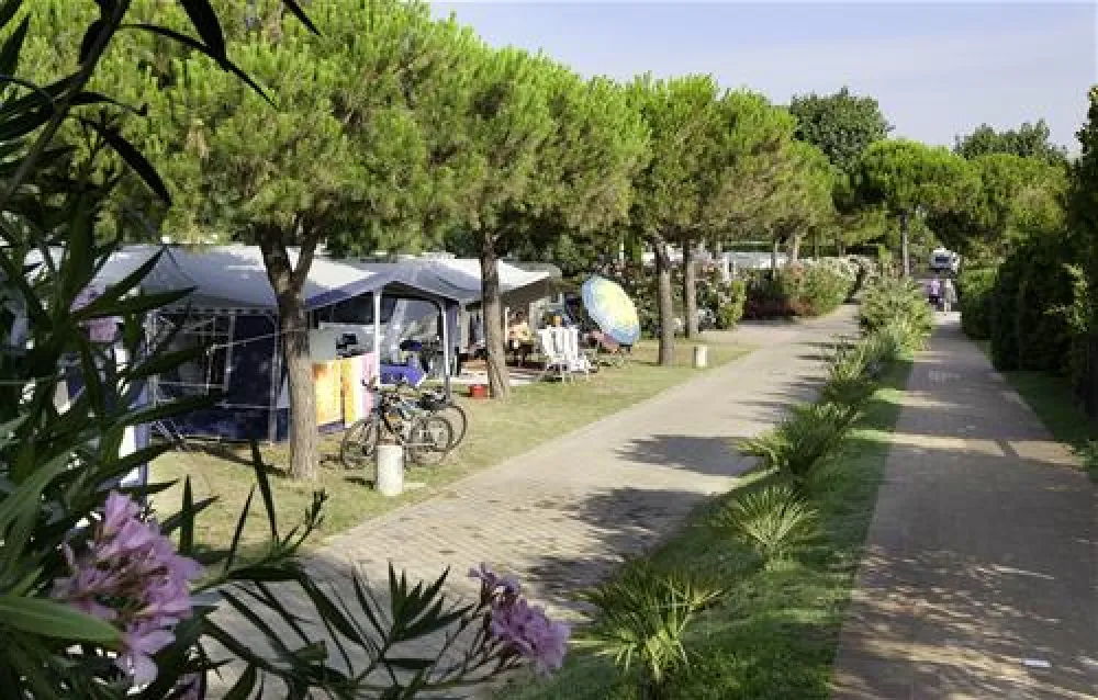 Camping Jesolo International