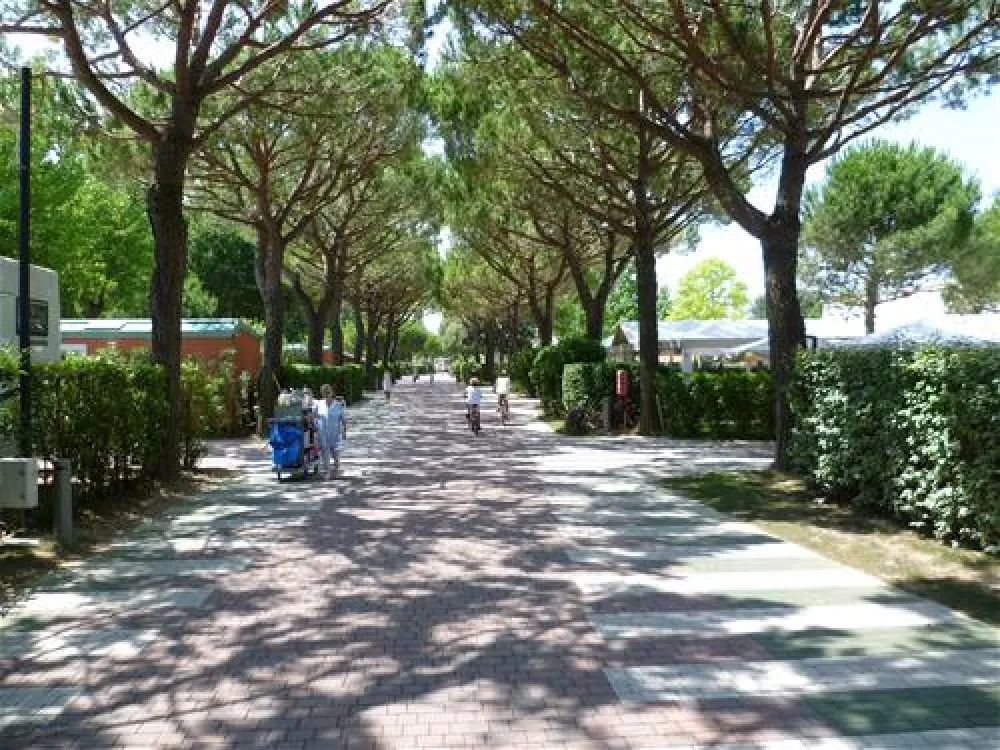 Camping Jesolo International
