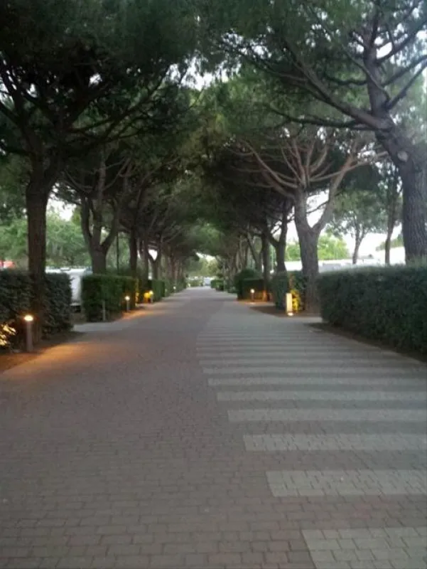 Camping Jesolo International