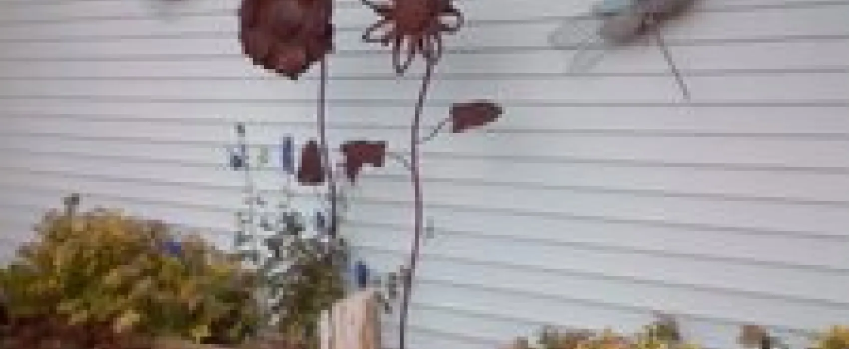 Mountain View RV Park & Campground