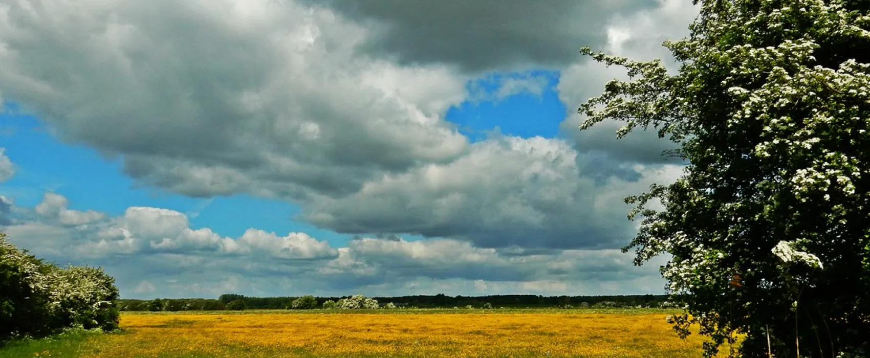 Minicamping De Boterbloem