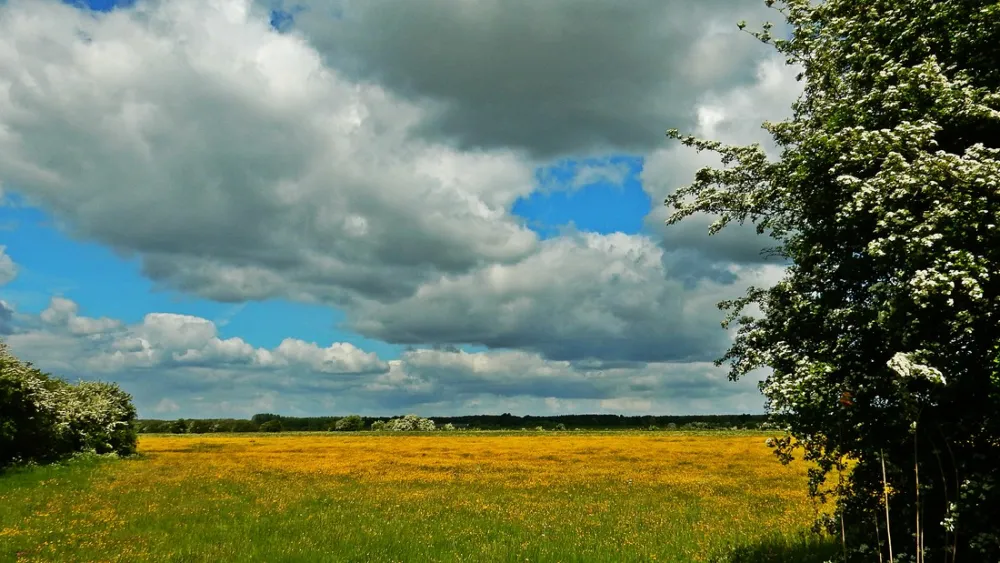 Minicamping De Boterbloem