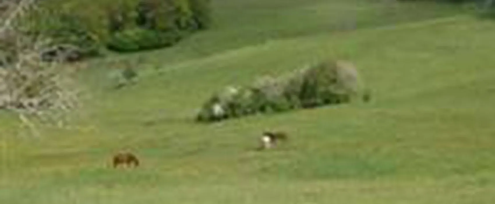 Camping à la ferme La Bauche