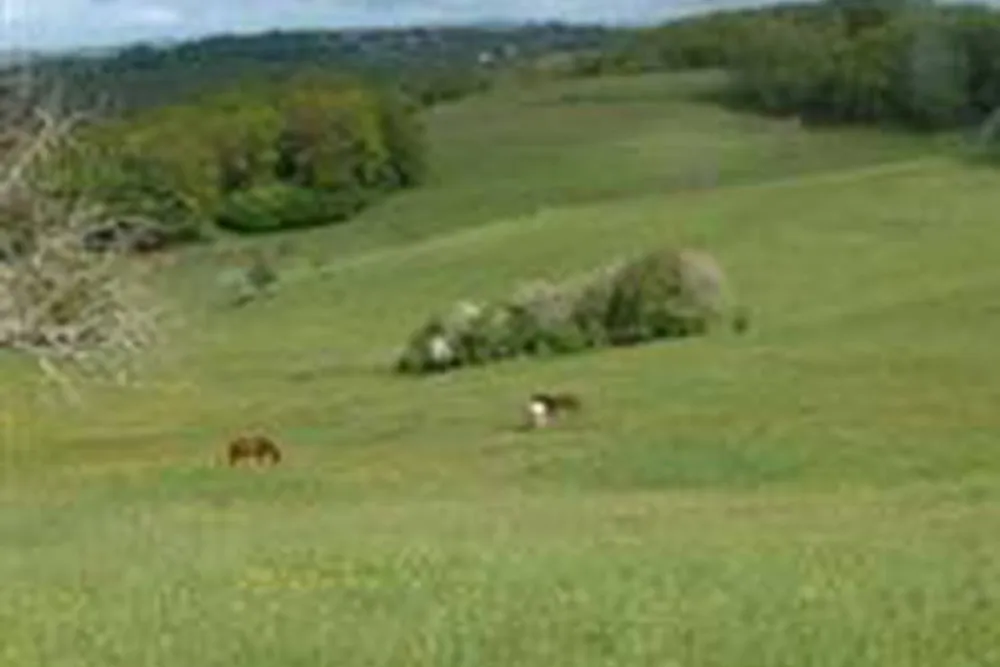 Camping à la ferme La Bauche