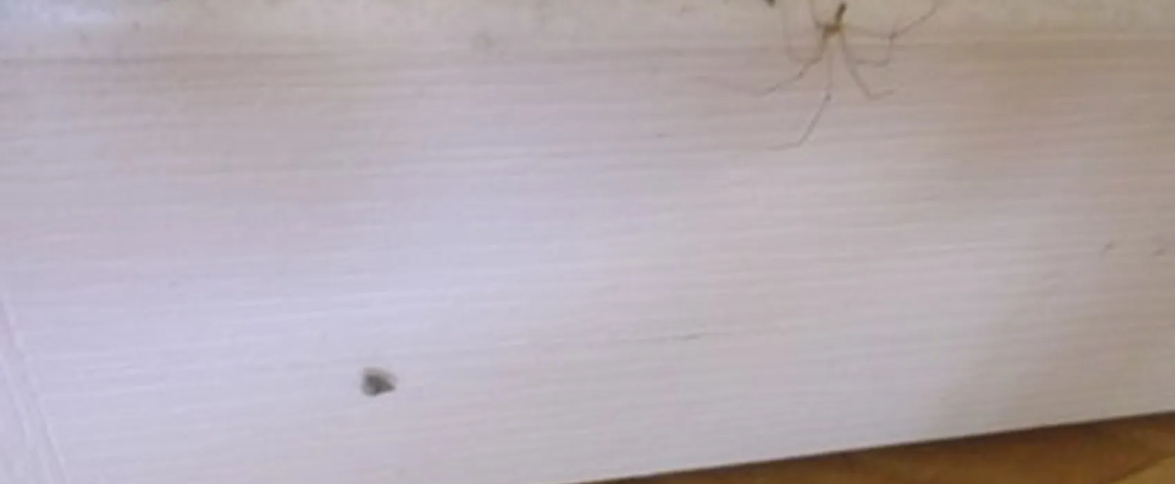 Capfun Parc et Plage