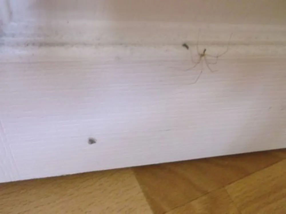 Capfun Parc et Plage