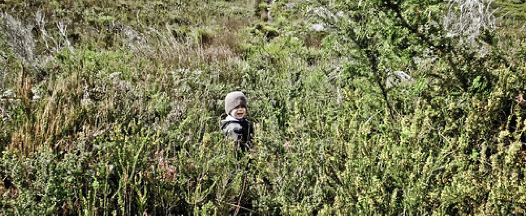 Cloudy Bay Beach Campground