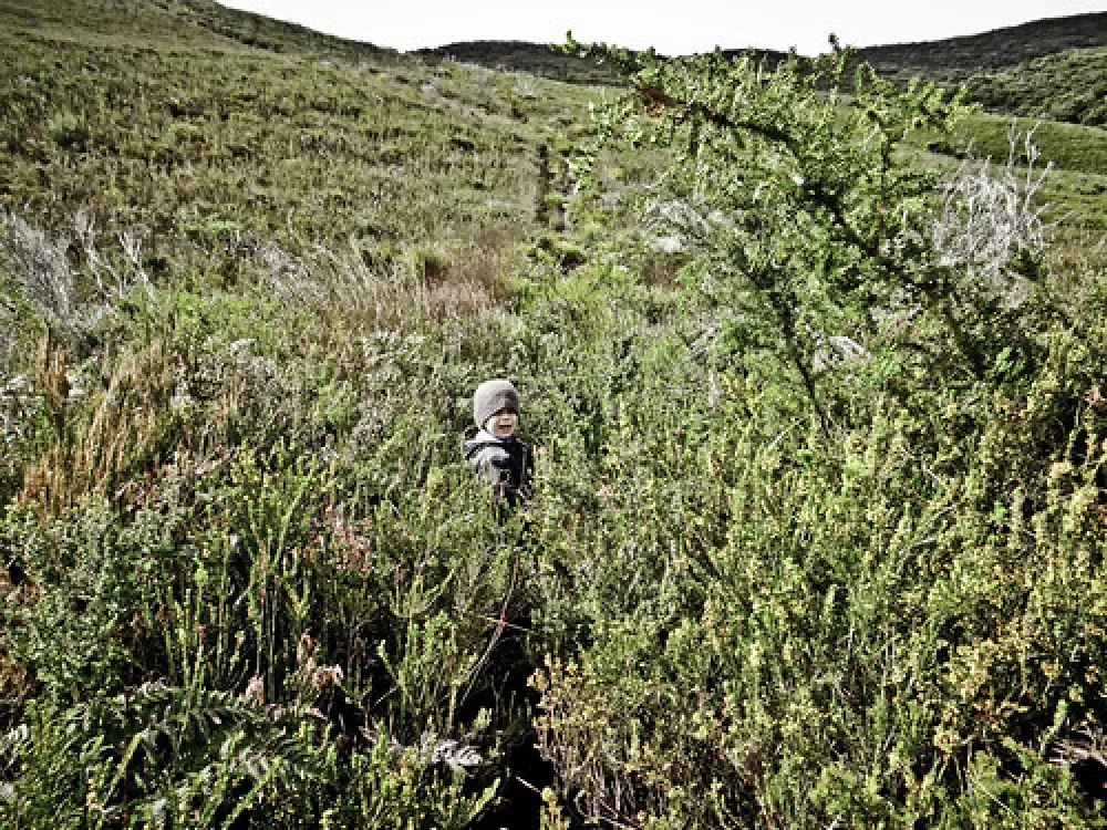 Cloudy Bay Beach Campground