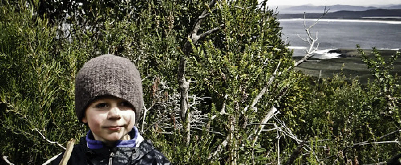 Cloudy Bay Beach Campground