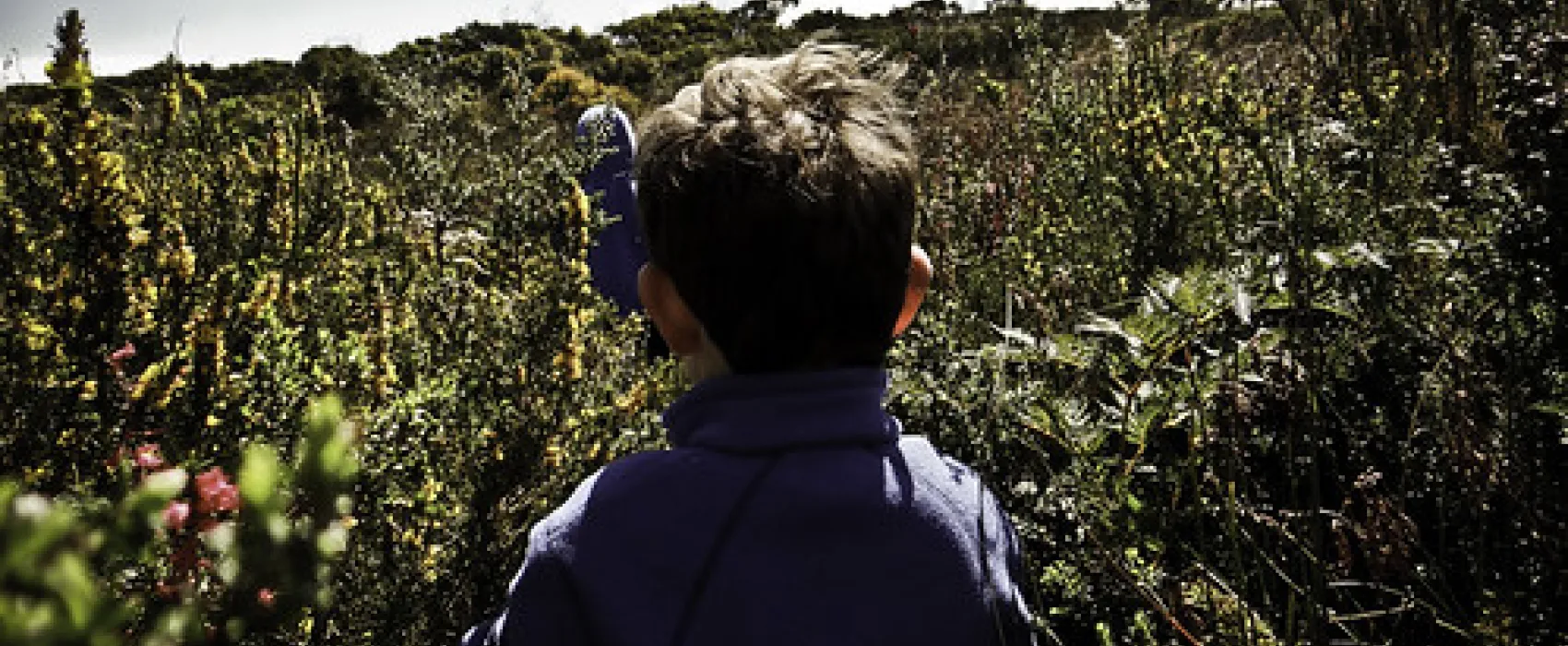 Cloudy Bay Beach Campground