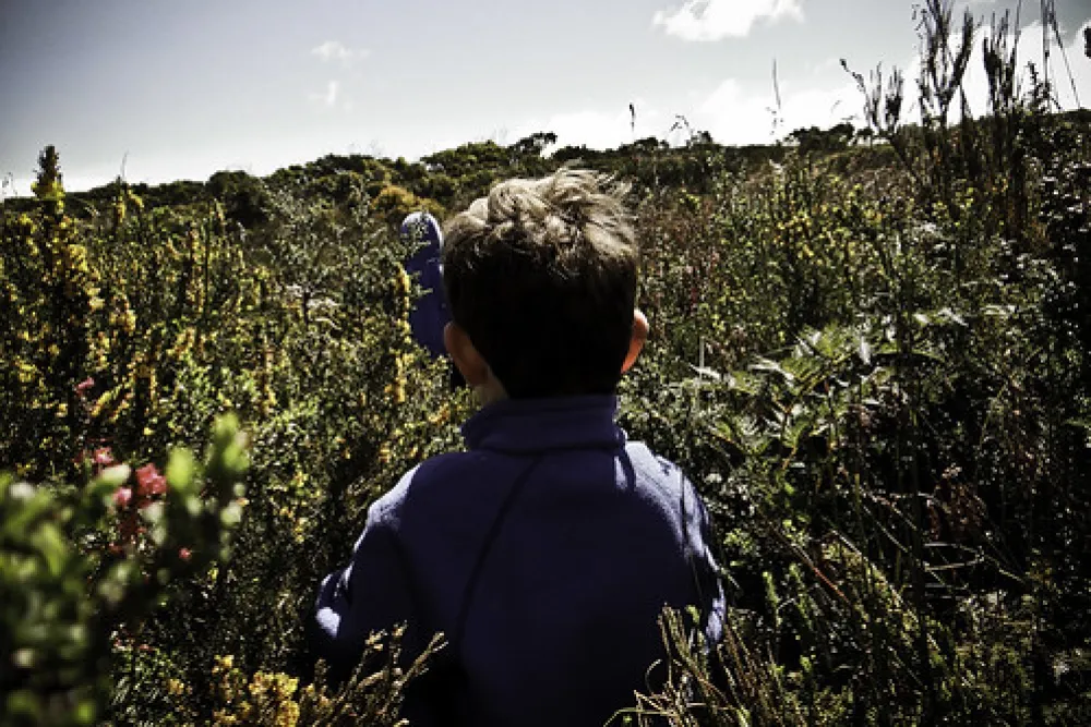 Cloudy Bay Beach Campground