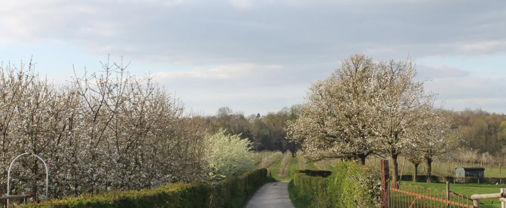 Kampeerboerderij Hof van Libeek
