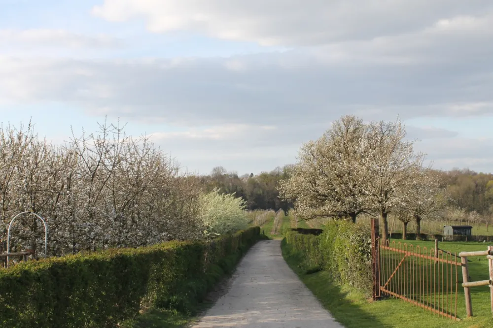 Kampeerboerderij Hof van Libeek