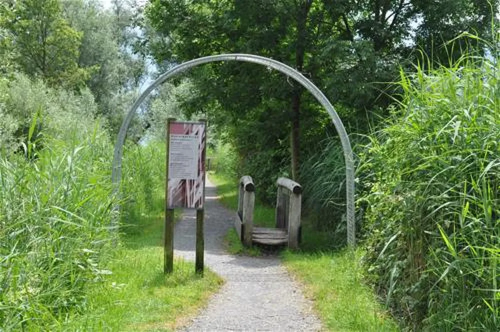 TCS Camping Luzern - Horw