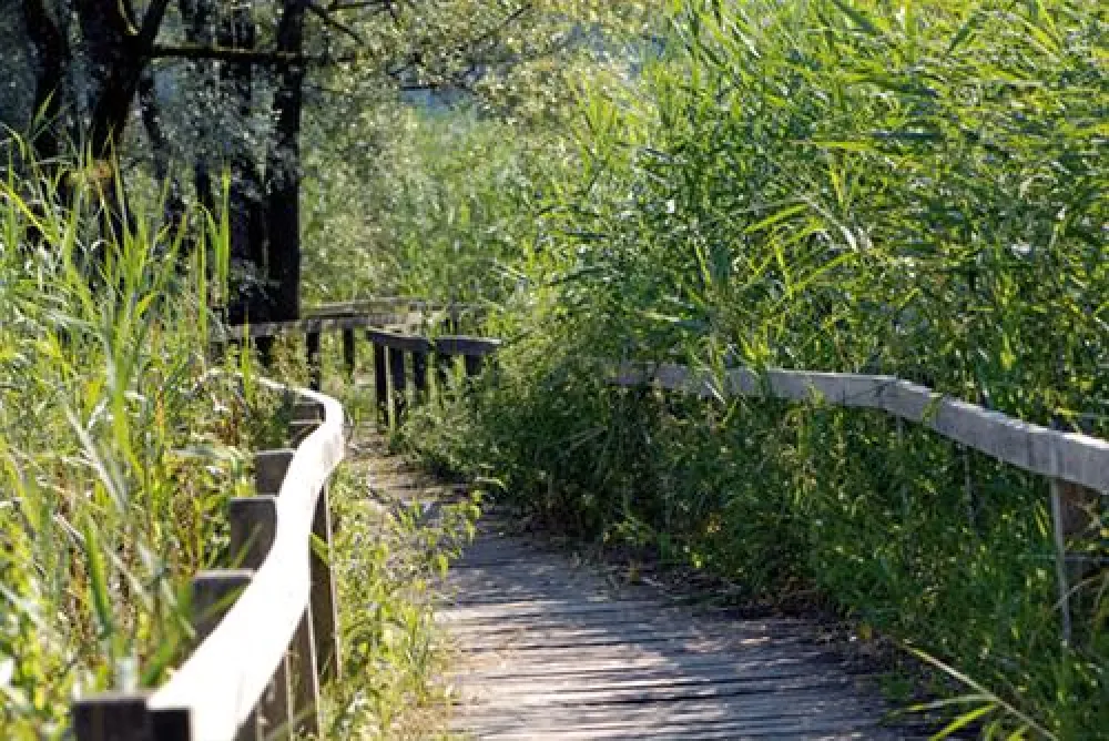 TCS Camping Luzern - Horw