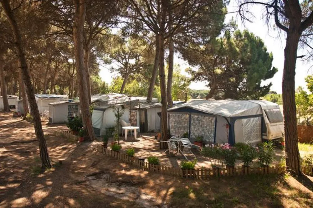 Camping l´esplanada